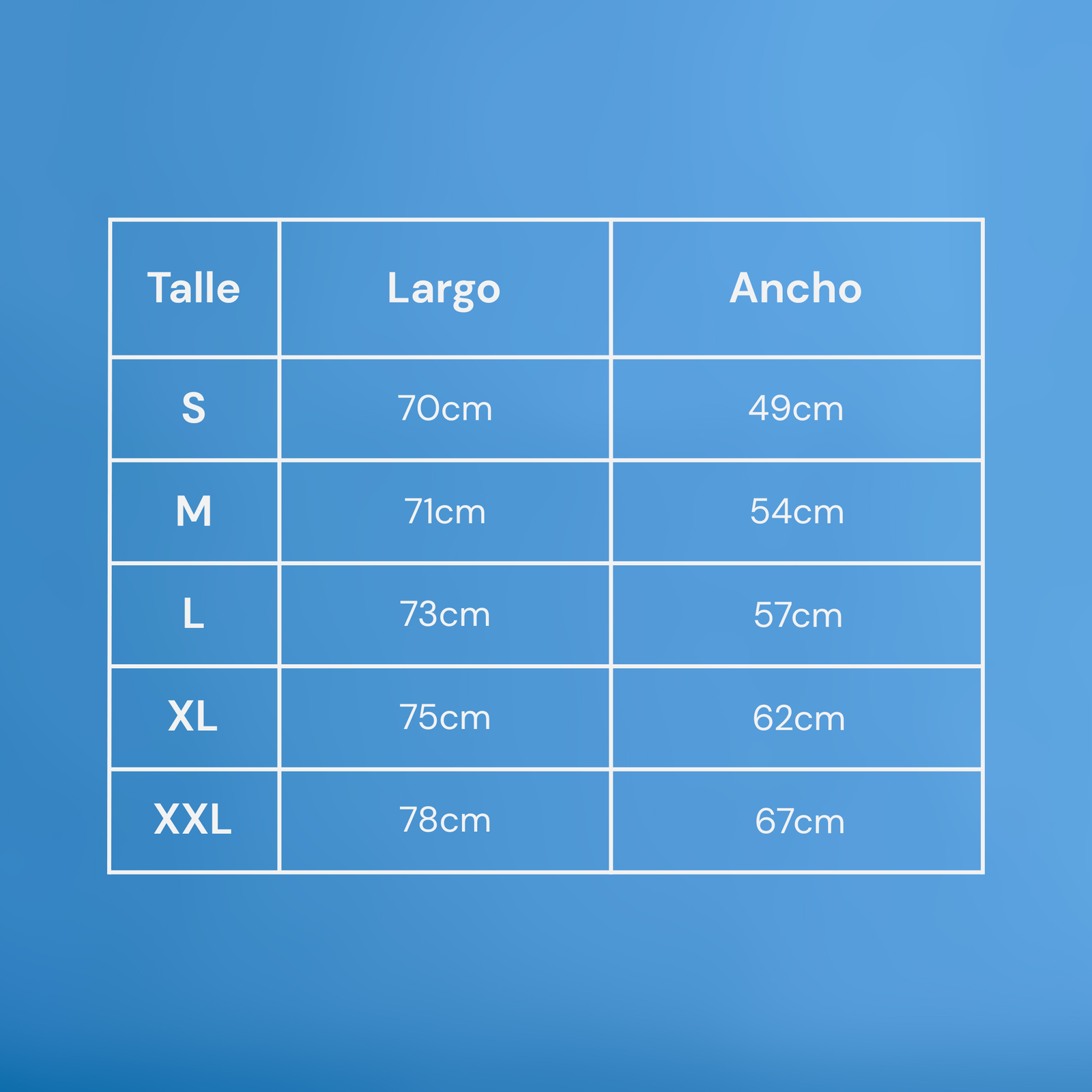 Remera Aero Jols - Imagen 2